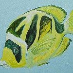 M8_yellowfish